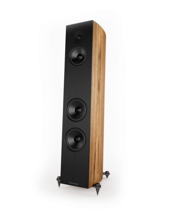 Acoustic Energy Corinium Floorstanding Speakers - walnut